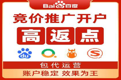 百度广告竞价策略详解：某电商平台的成功案例